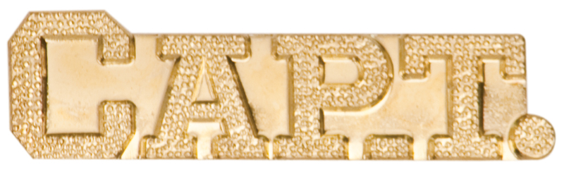 Captain Chenille Sport Pin