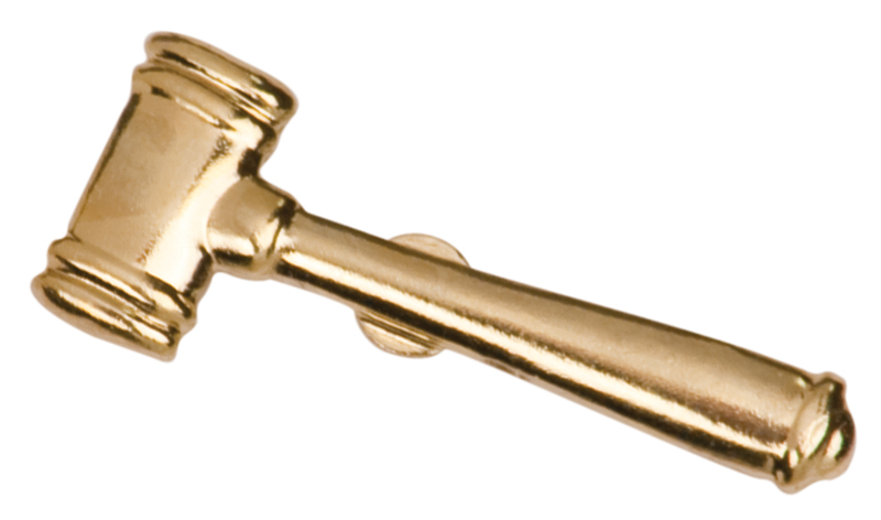 Gavel Chenille Sport Pin