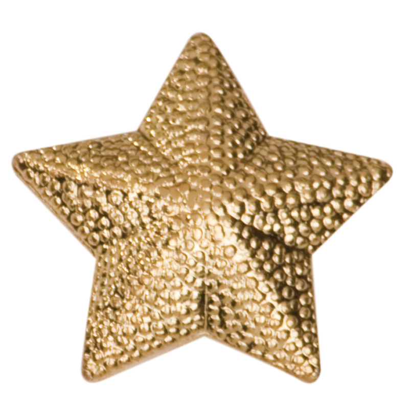 Star Chenille Sport Pin