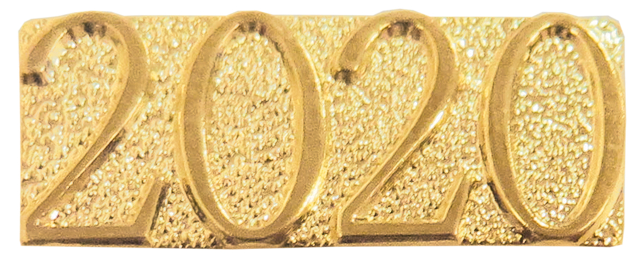 2020 Year Chenille Sport Pin