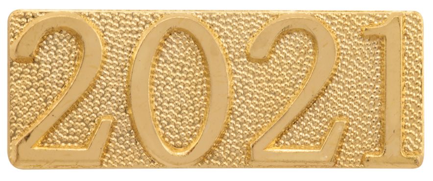 2021 Year Chenille Sport Pin