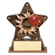 Basketball Starburst Resin Trophy