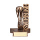 Male Swimming Superstar Trophy