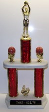 T6S3 Trophy