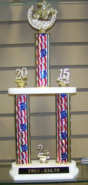 T8S3 Trophy